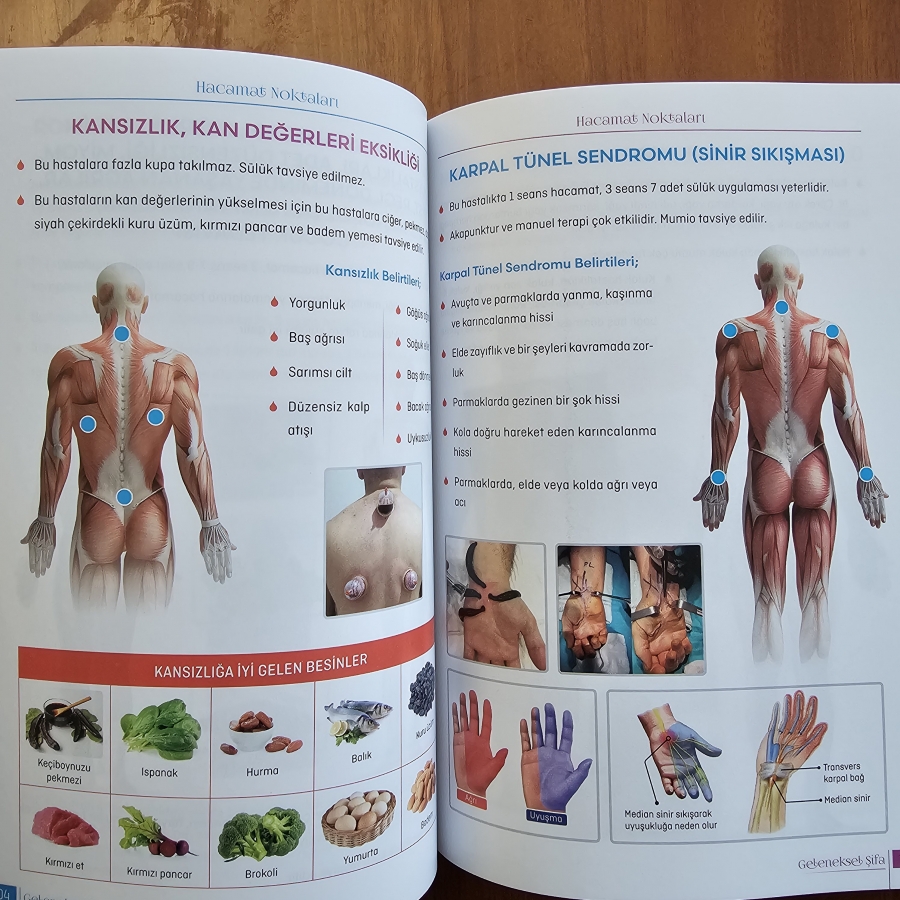 GELENEKSEL ŞİFA KİTABI 